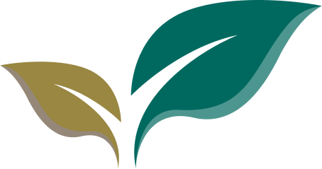 歯並びも噛み合わせも、安心してご相談ください