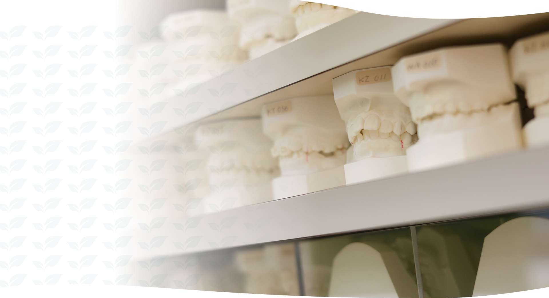 わかば矯正歯科クリニック